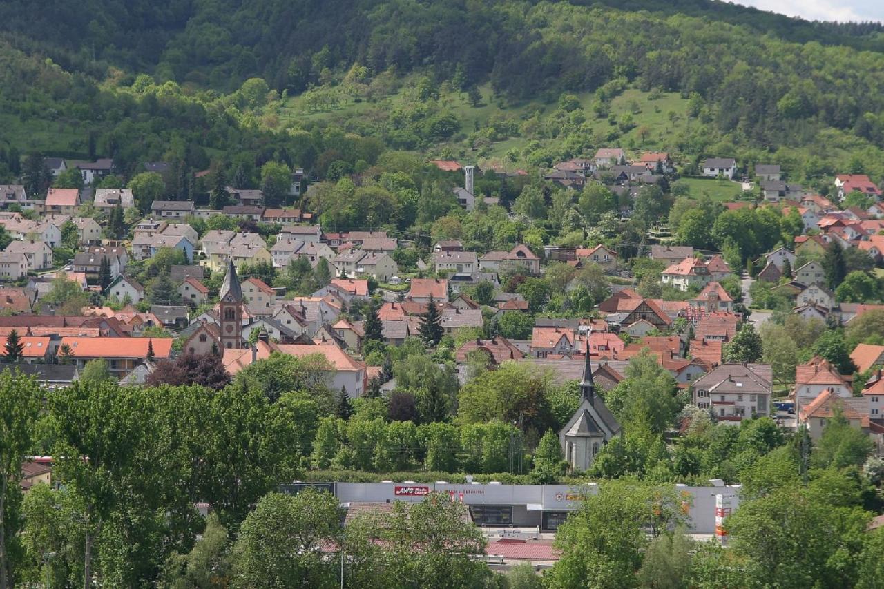 Ferienwohnung Haas Lauda-Königshofen Exterior foto